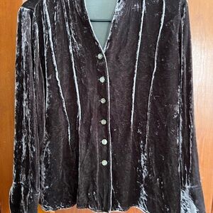 J. Jill Women's Velvet Blazer - Brown